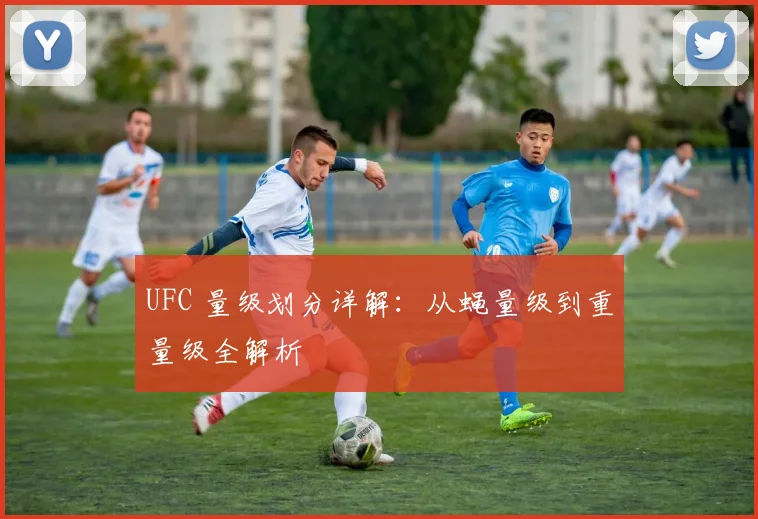 UFC 量级划分详解:从蝇量级到重量级全解析