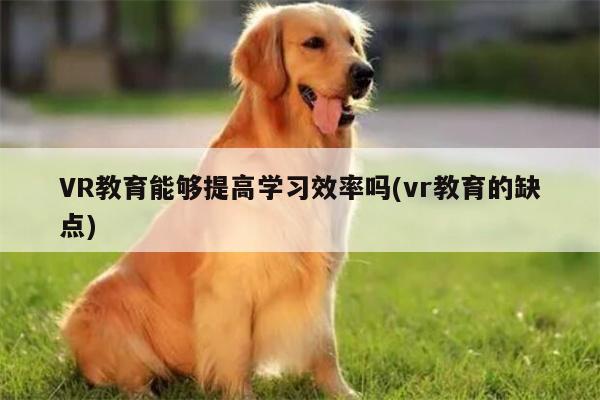 jn江南体育_VR教育能够提高学习效率吗(vr教育的缺点)