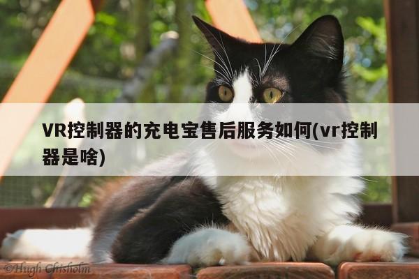 VR控制器的充电宝售后服务如何(vr控制器是啥)-jn江南体育