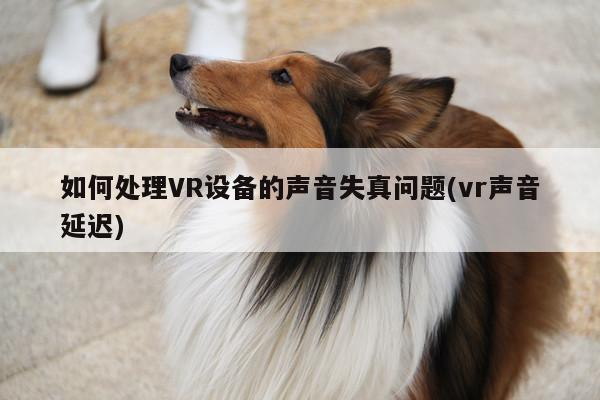 如何处理VR设备的声音失真问题(vr声音延迟)：jn江南体育