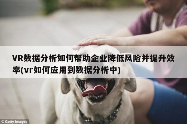 VR数据分析如何帮助企业降低风险并提升效率(vr如何应用到数据分析中)【jn体育】