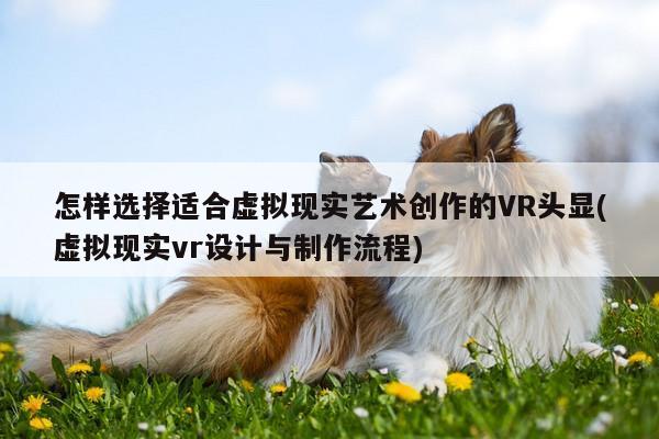 【jn江南体育】怎样选择适合虚拟现实艺术创作的VR头显(虚拟现实vr设计与制作流程)