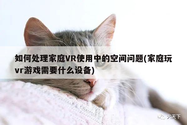 如何处理家庭VR使用中的空间问题(家庭玩vr游戏需要什么设备)【江南体育官网】