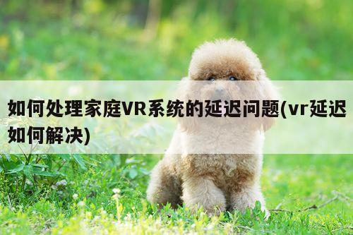 jn江南体育|如何处理家庭VR系统的延迟问题(vr延迟如何解决)