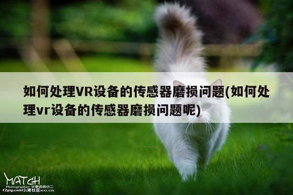 jn江南体育登录入口：如何处理VR设备的传感器磨损问题(如何处理vr设备的传感器磨损问题呢)