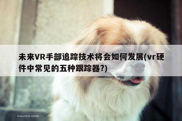 jn江南体育-未来VR手部追踪技术将会如何发展(vr硬件中常见的五种跟踪器?)