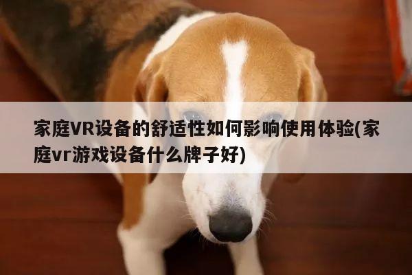 家庭VR设备的舒适性如何影响使用体验(家庭vr游戏设备什么牌子好)|jn江南体育登录入口