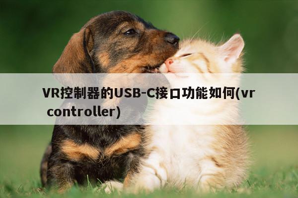 jn体育-VR控制器的USB-C接口功能如何(vr controller)