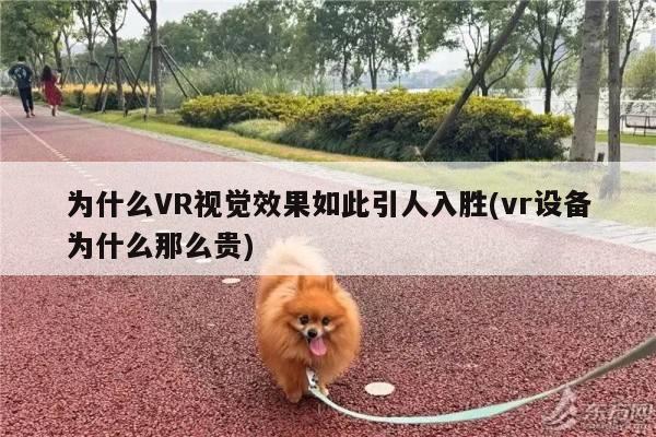 为什么VR视觉效果如此引人入胜(vr设备为什么那么贵)-江南体育官网