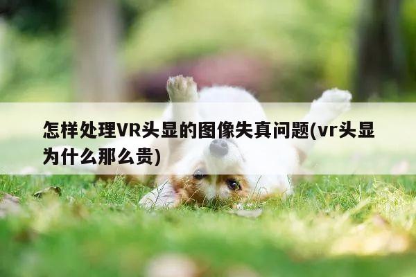 【江南体育官网】怎样处理VR头显的图像失真问题(vr头显为什么那么贵)