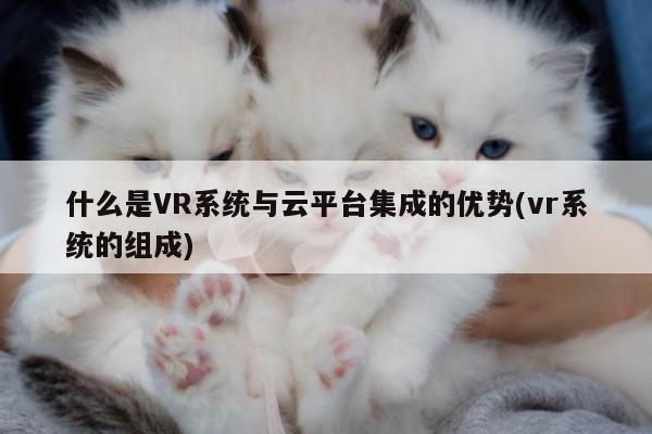 什么是VR系统与云平台集成的优势(vr系统的组成)|jn江南体育