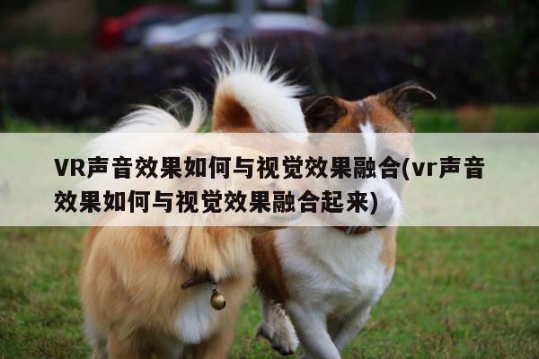 VR声音效果如何与视觉效果融合(vr声音效果如何与视觉效果融合起来)【jn体育】