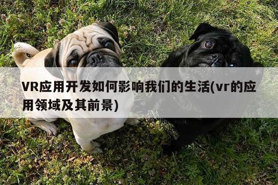 VR应用开发如何影响我们的生活(vr的应用领域及其前景)_江南体育官网