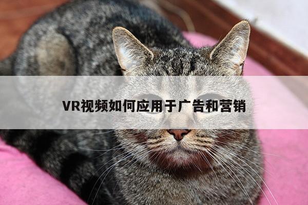 VR视频如何应用于广告和营销-jn体育