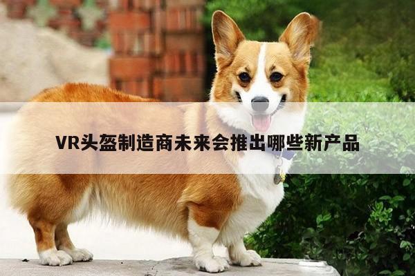 江南体育官网-VR头盔制造商未来会推出哪些新产品