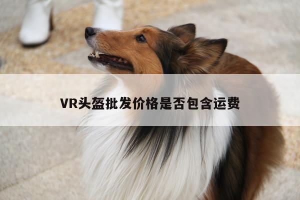 jn体育|VR头盔批发价格是否包含运费