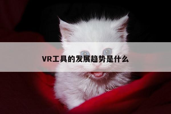 【jn江南体育登录入口】VR工具的发展趋势是什么