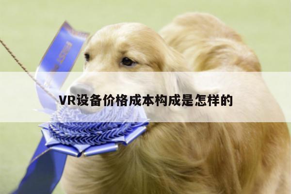 江南体育官网-VR设备价格成本构成是怎样的