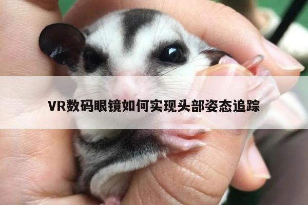 VR数码眼镜如何实现头部姿态追踪|jn江南体育