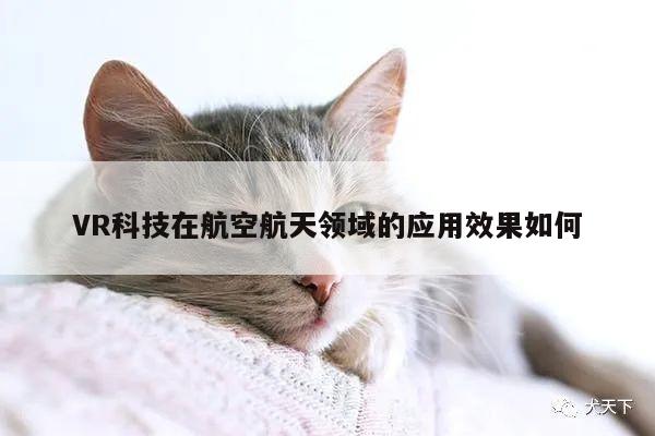 VR科技在航空航天领域的应用效果如何|江南体育官网