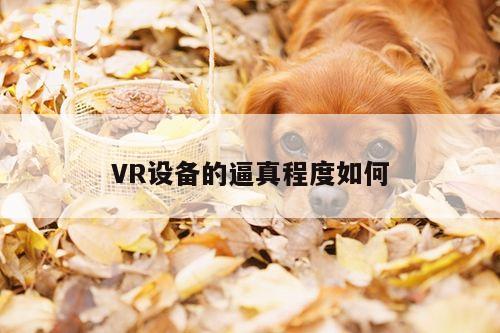 VR设备的逼真程度如何-江南体育官网