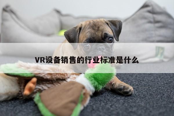 VR设备销售的行业标准是什么：jn江南体育登录入口