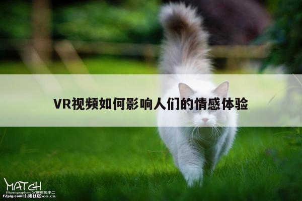 VR视频如何影响人们的情感体验|jn江南体育